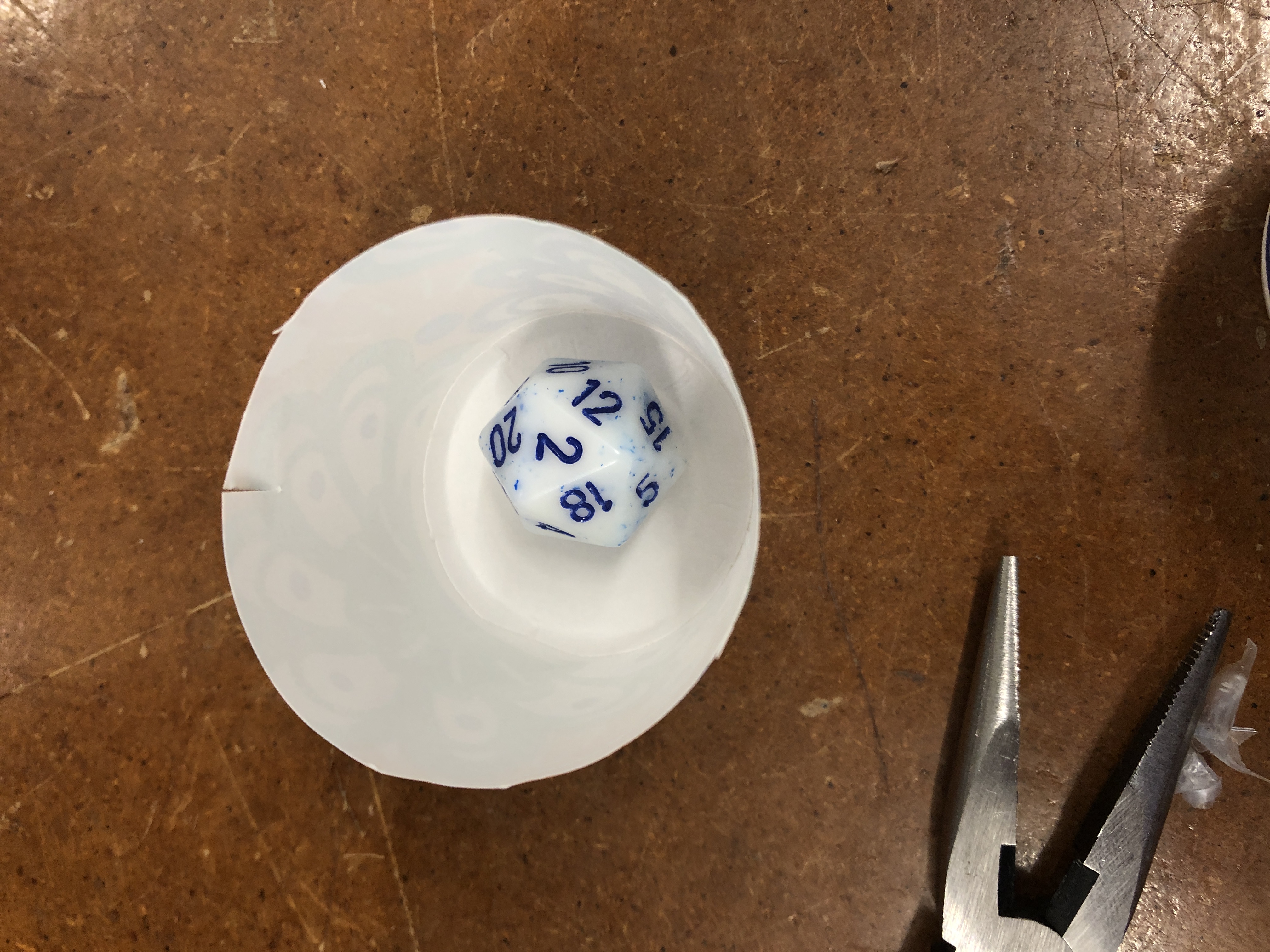 20 sided die